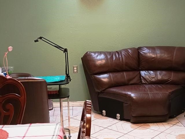 3822 Mattingham Drive Houston, TX 77066 - Photo 6 of 18 a living room with a couch and a potted plant