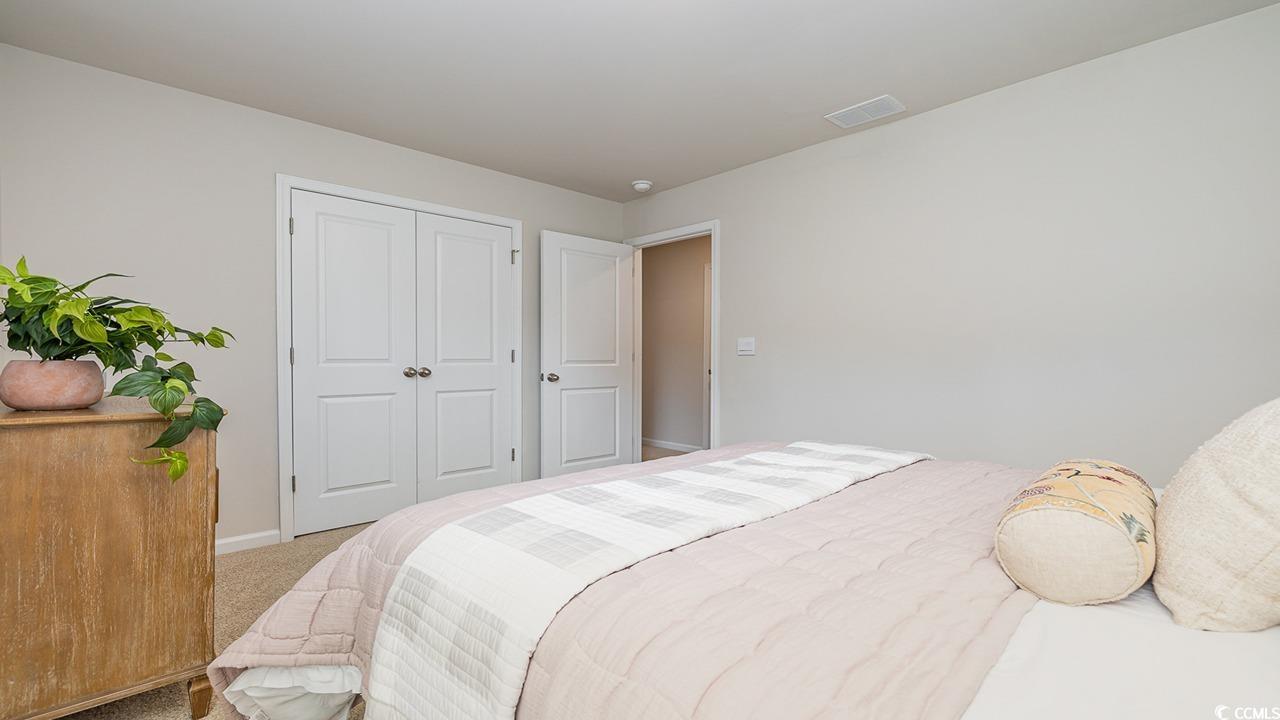303 Ridley Street Longs, SC 29568 - Photo 29 of 31 Carpeted bedroom with baseboards and a closet