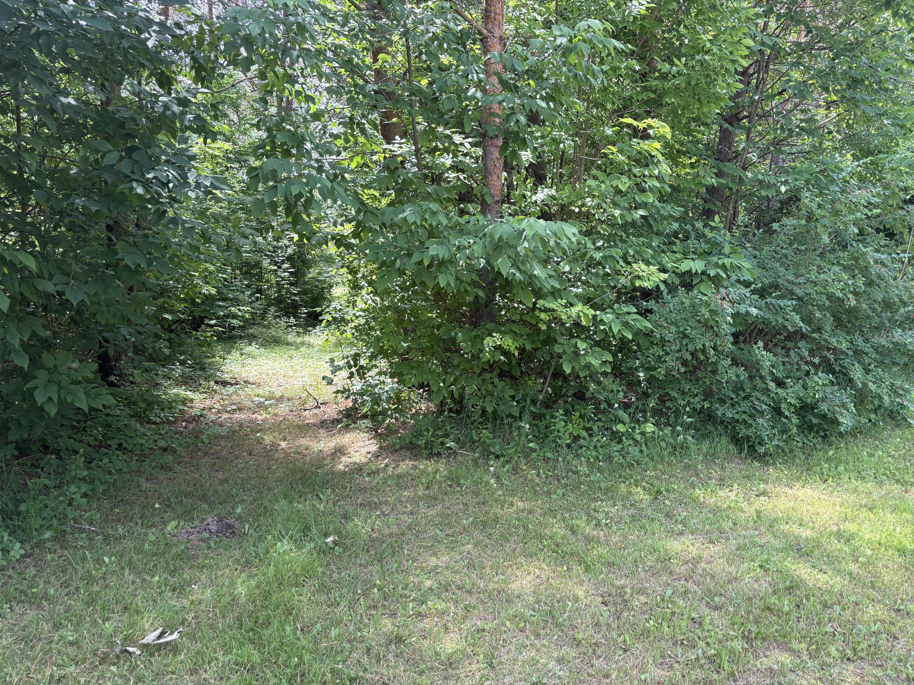Vl South 210th Avenue Reed City, MI 49677 - Photo 2 of 11 IMG_4758