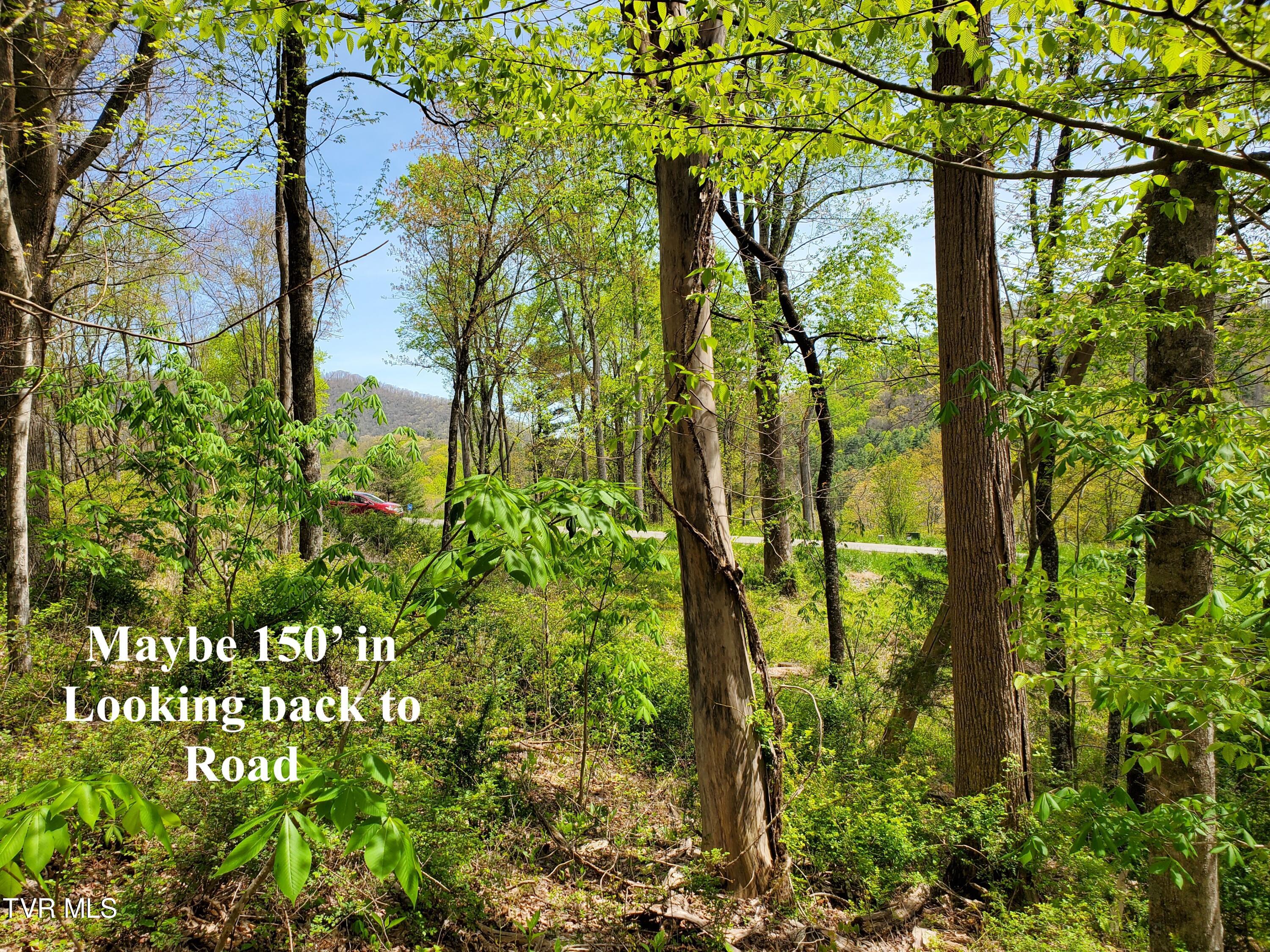Lot 40 Cowan Town Road, Unit 40 Butler, TN 37640 - Photo 44 of 117 14