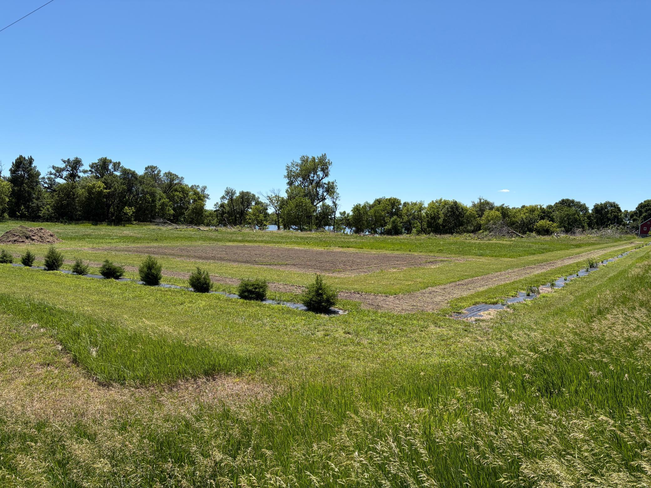 Tbd Tbd Tripp Fulda, MN 56131 - Photo 3 of 5