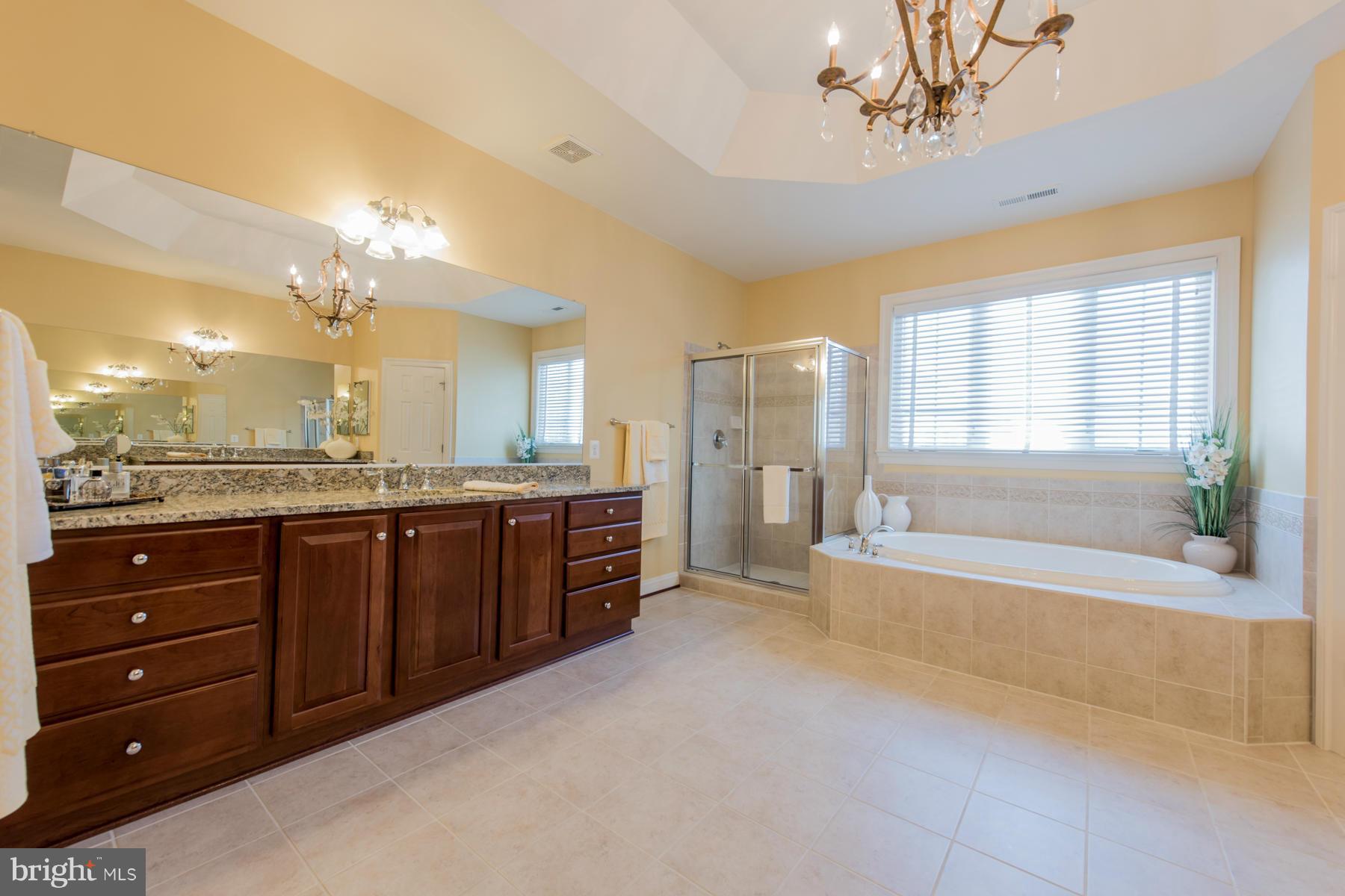 6905 Granite Ridge Court Baltimore, MD 21209 - Photo 26 of 30 Bath (Master)