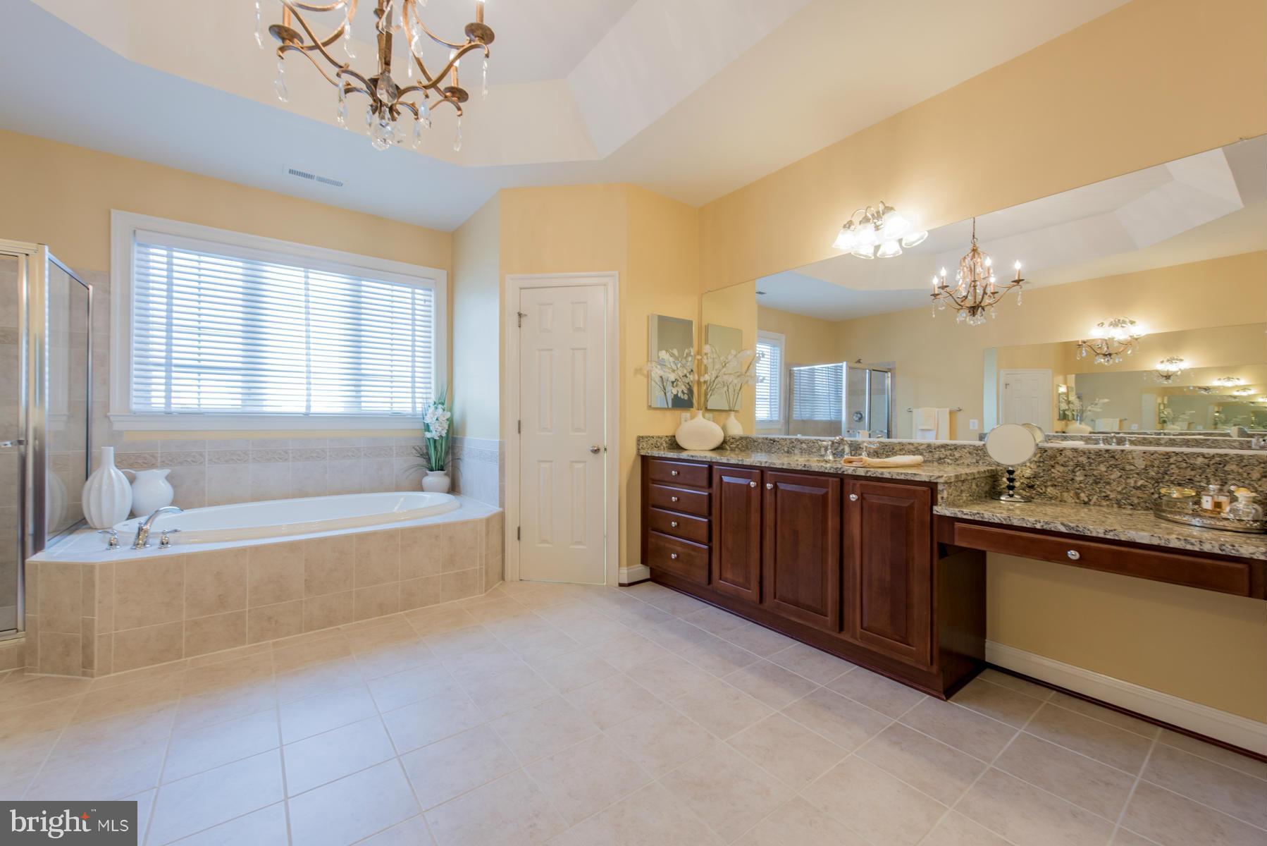 6905 Granite Ridge Court Baltimore, MD 21209 - Photo 27 of 30 Bath (Master)