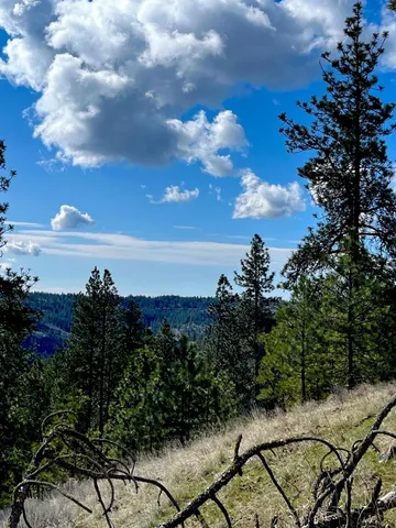 $95,000 | 34430 Partridge Lane, Davenport, WA 99122