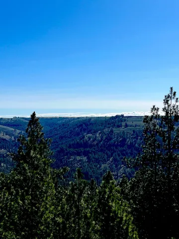 $95,000 | 34430 Partridge Lane, Davenport, WA 99122