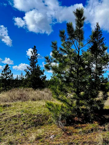 $95,000 | 34430 Partridge Lane, Davenport, WA 99122