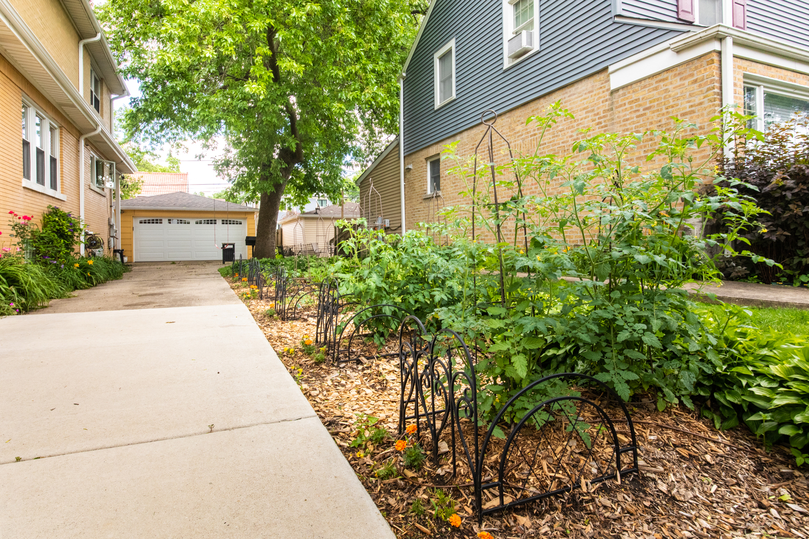 1605 South Fairview Avenue Park Ridge, IL 60068 - Photo 28 of 30