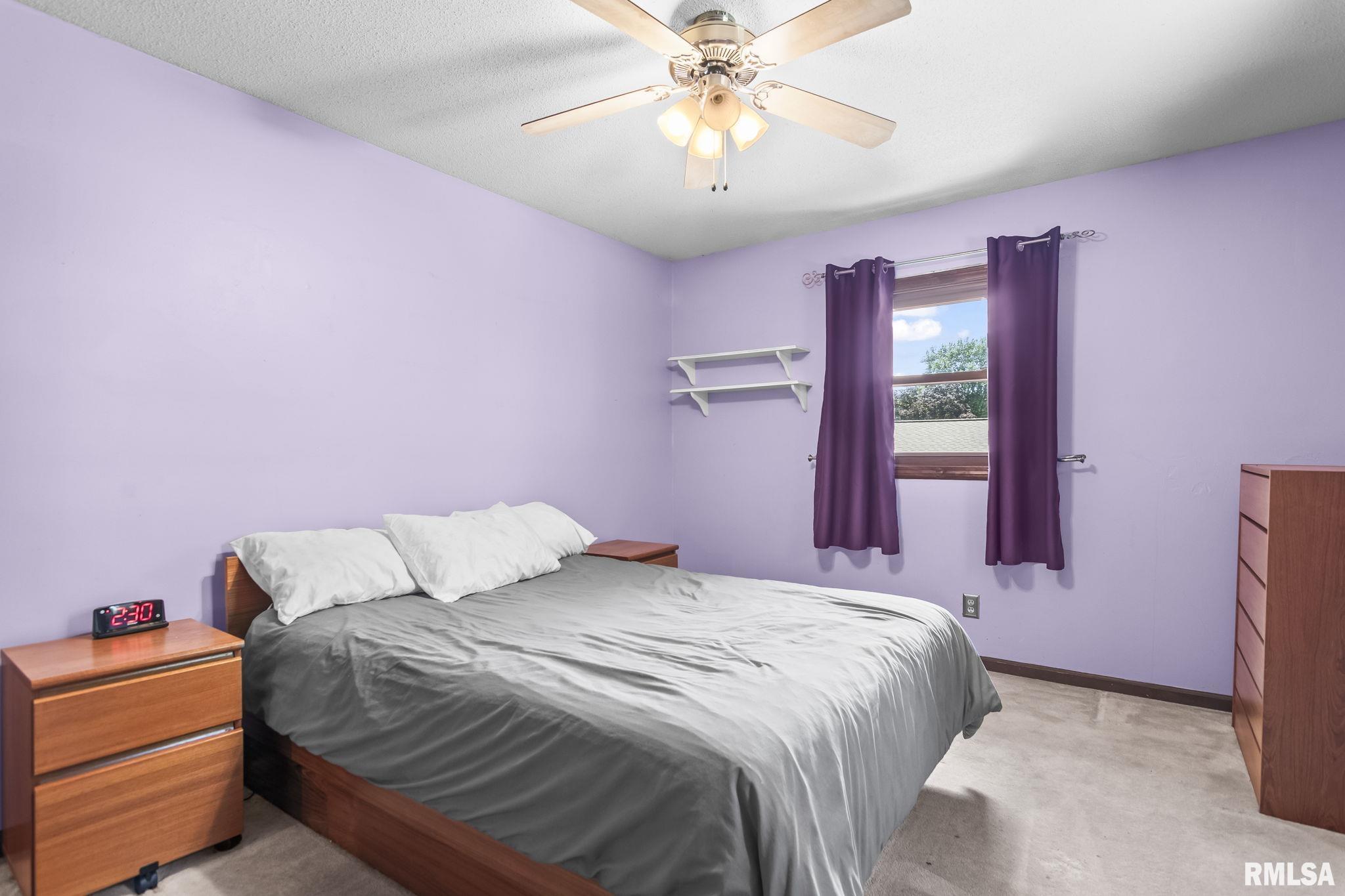 155 Exmore Drive Springfield, IL 62704 - Photo 33 of 47