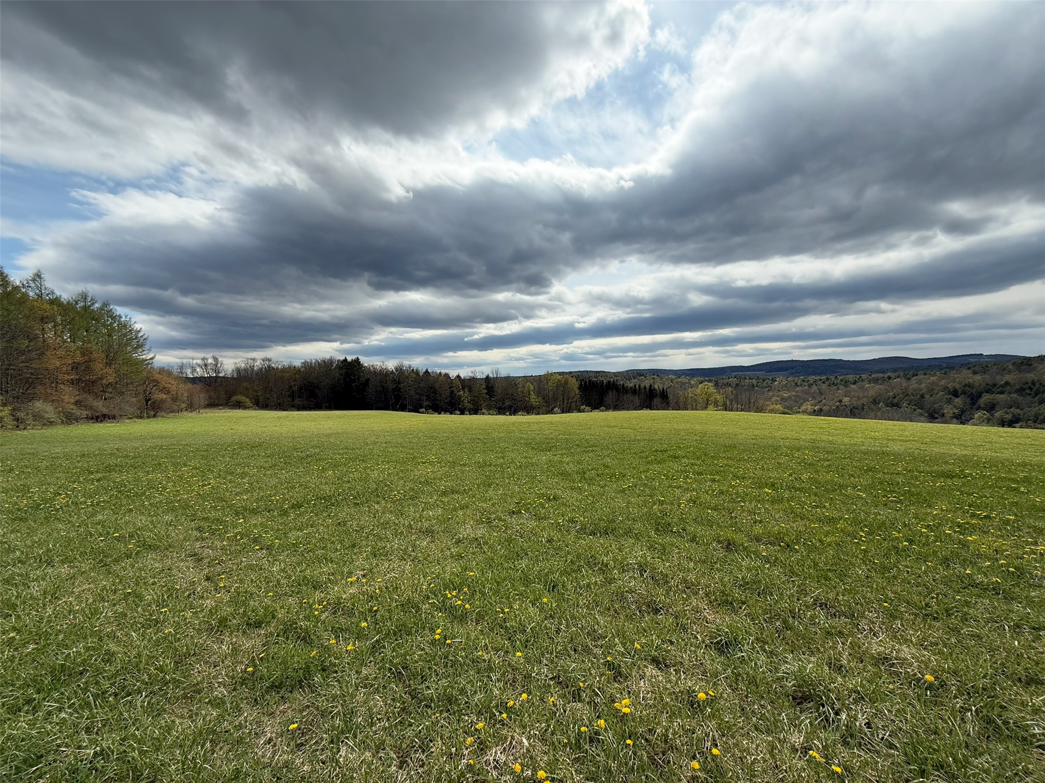 298 West Hill Road New Berlin, NY 13843 - Photo 18 of 25