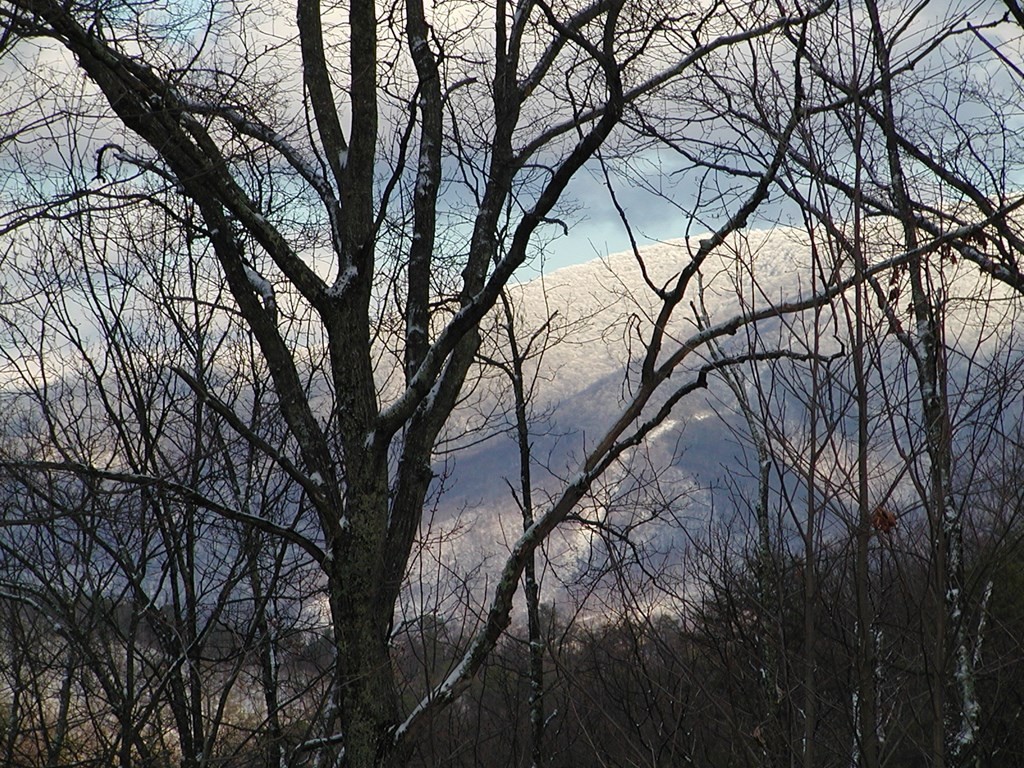 4129 Wildcat Road Sevierville, TN 37862 - Photo 24 of 50 Gallery Image 24