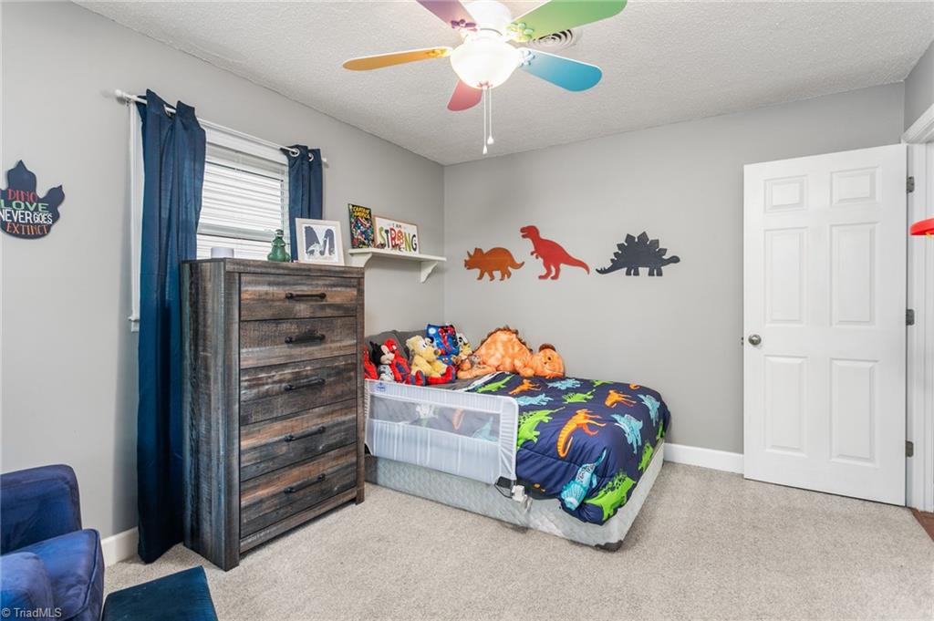 3810 Azalea Lane Trinity, NC 27370 - Photo 25 of 37