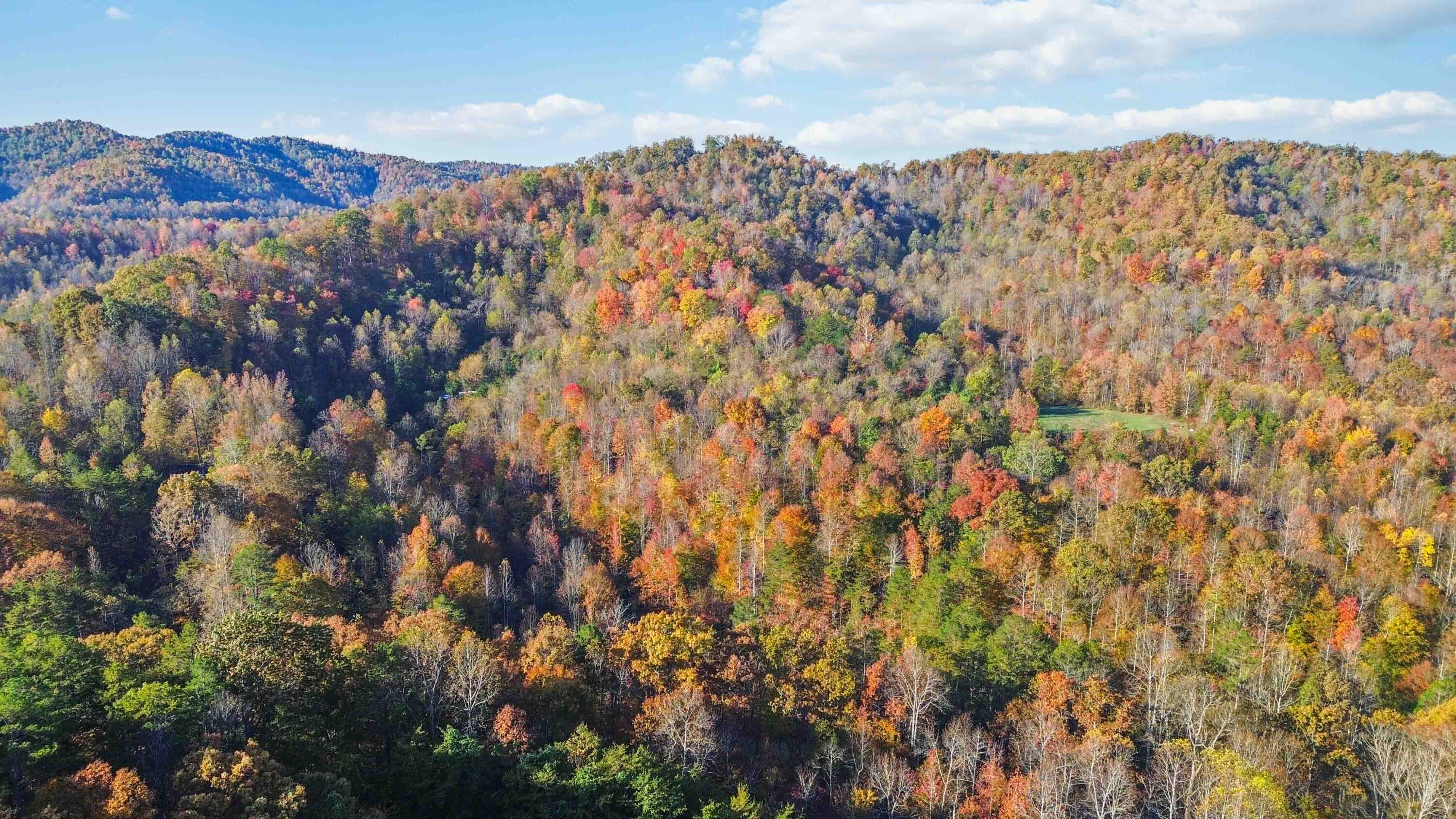 0 Terrells Creek Road London, KY 40741 - Photo 13 of 13 013