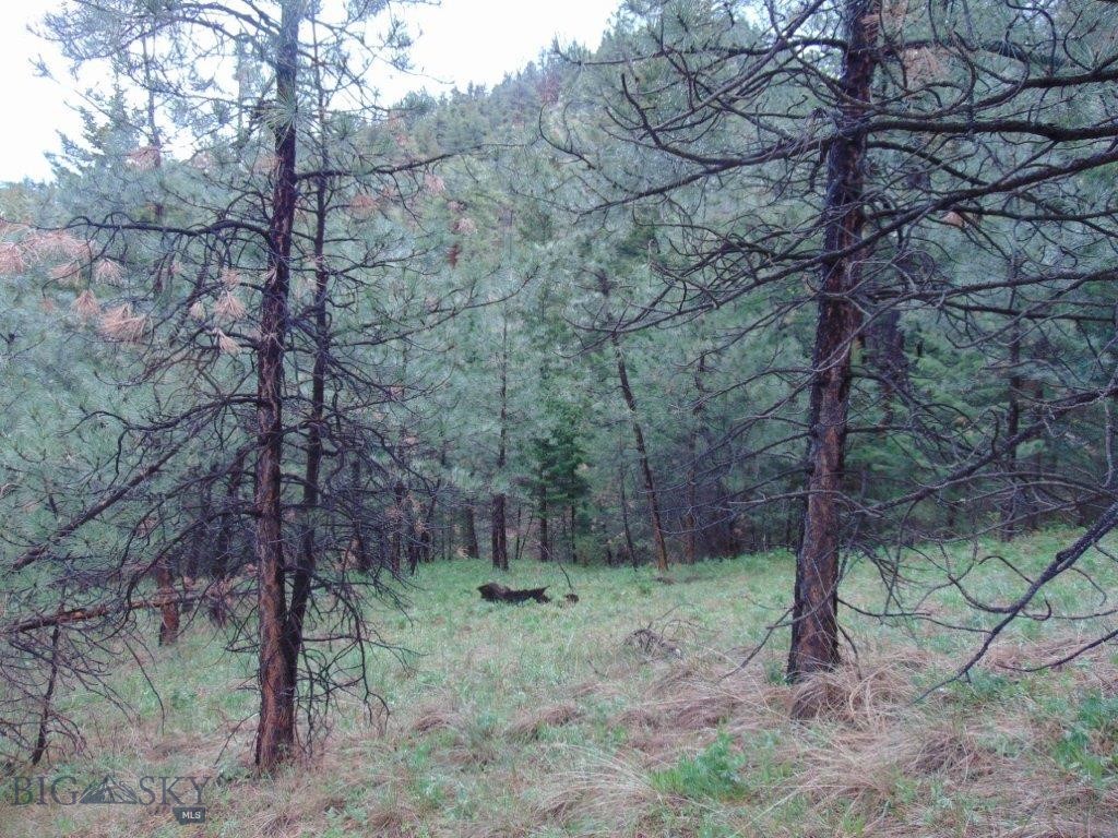 Tbd Shady Spring Lane Cascade, MT 59421 - Photo 41 of 78 Gallery Image 41
