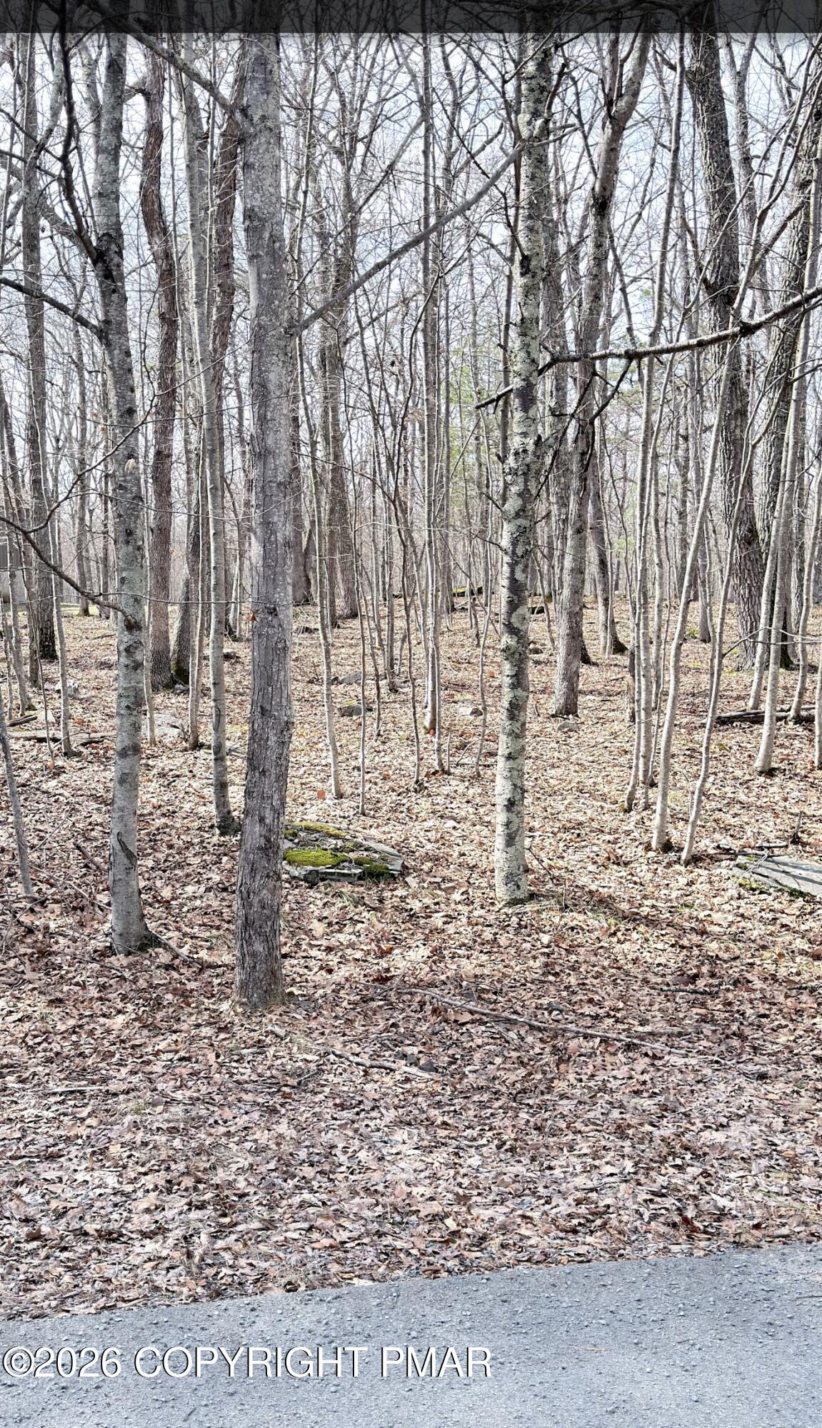 Lot 62 Summit Place Hawley, PA 18428 - Photo 8 of 8 a view of yard