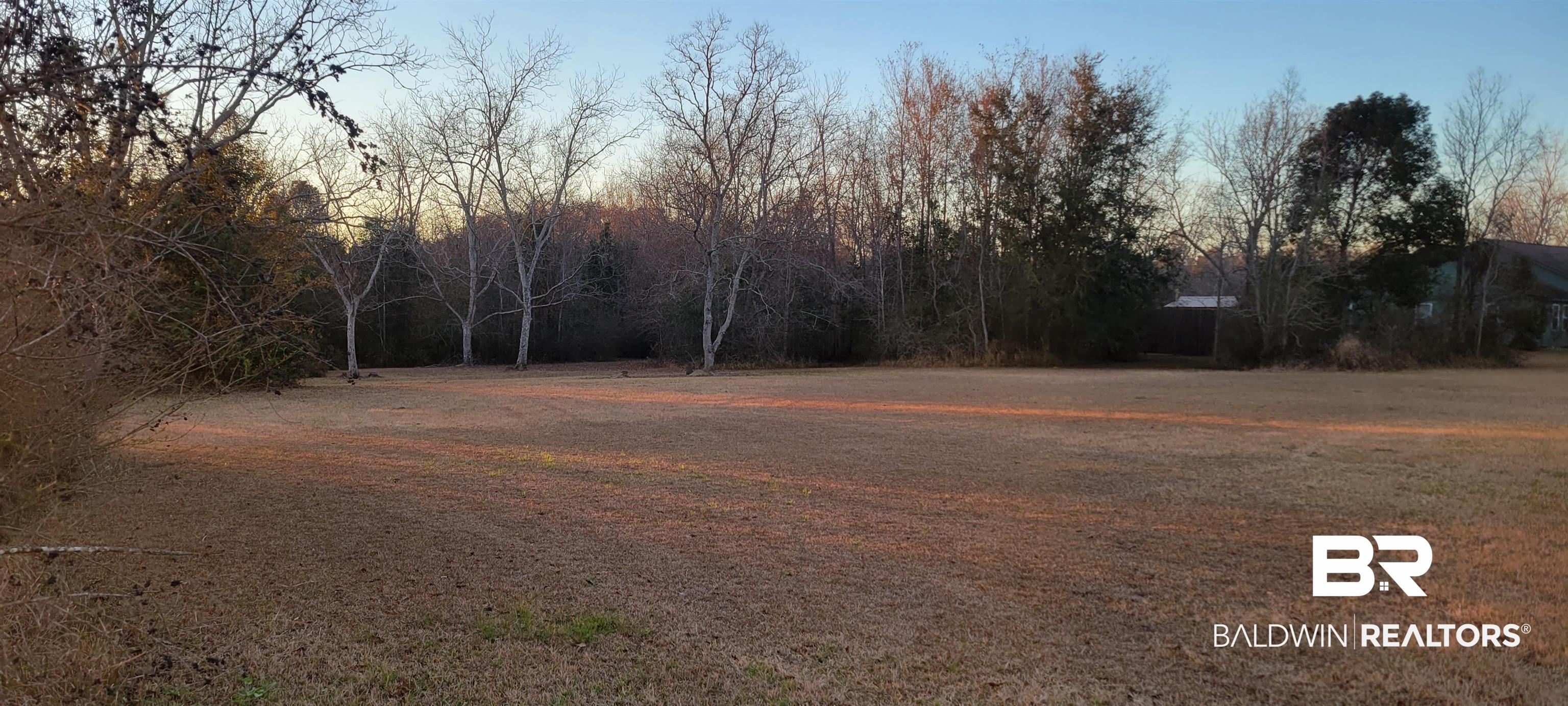 0 Diffee Road Grand Bay, AL 36541 - Photo 5 of 5