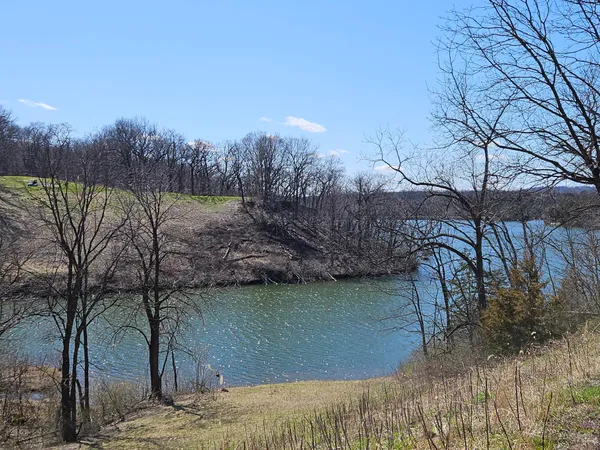 a view of a lake from a yard