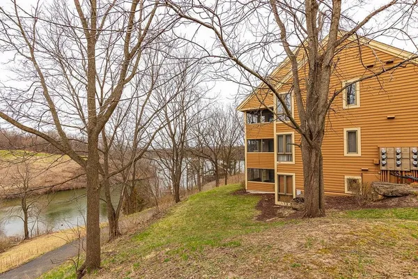 a view of a yard with a tree
