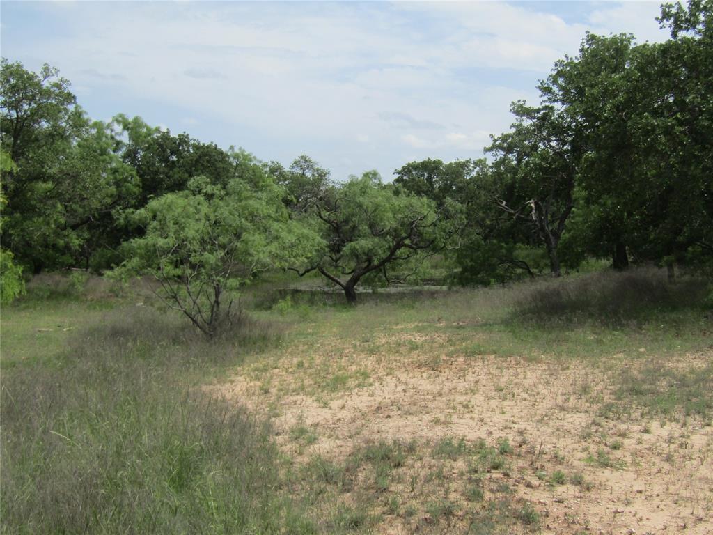 a view of lake with green space