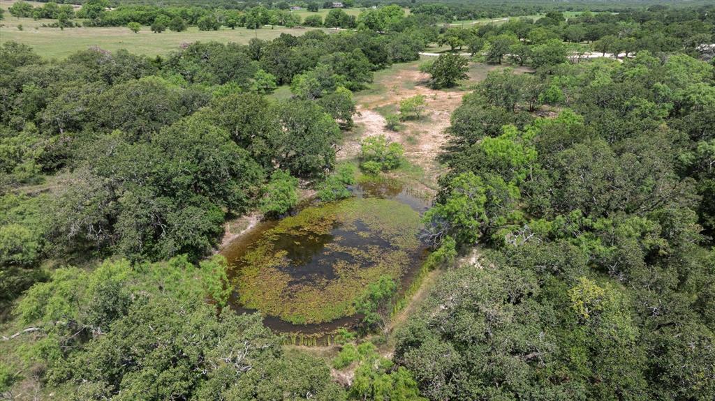 268 County Road 268 Rising Star, TX 76471 - Photo 12 of 15 a view of a forest with a houses