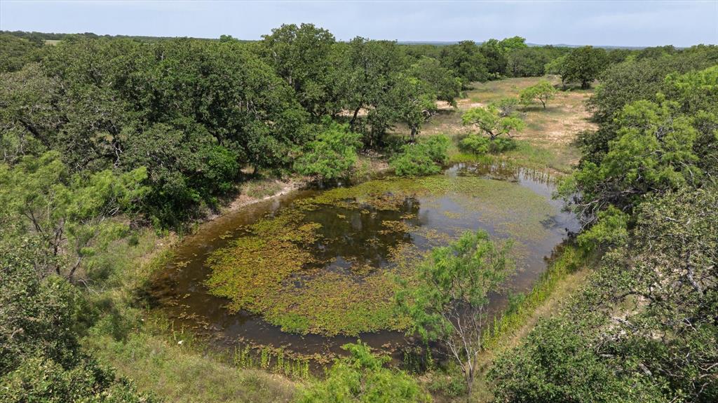 268 County Road 268 Rising Star, TX 76471 - Photo 13 of 15 a view of a lake with a forest