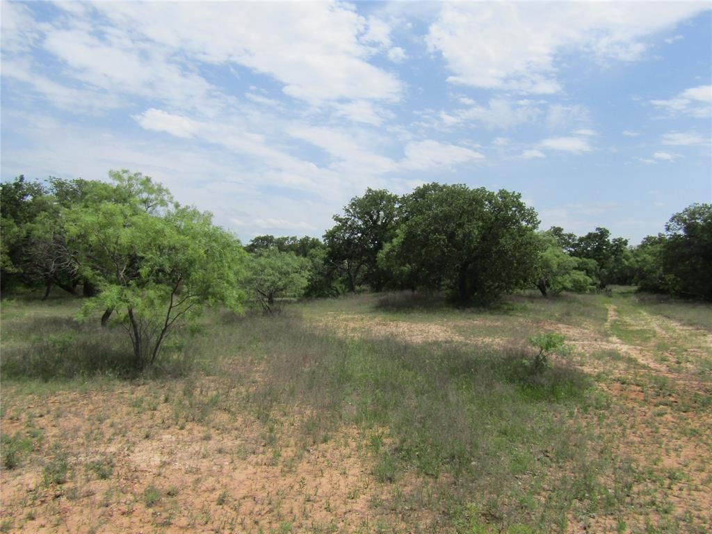 268 County Road 268 Rising Star, TX 76471 - Photo 2 of 15 a view of a yard with a fountain
