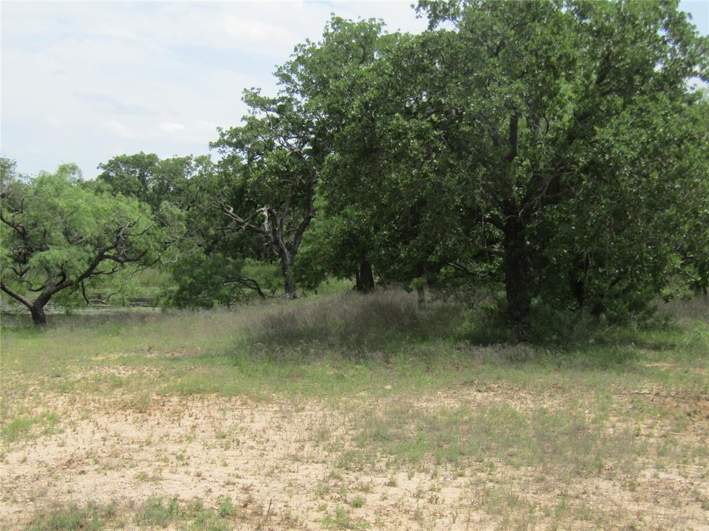 268 County Road 268 Rising Star, TX 76471 - Photo 3 of 15 a view of a lake view