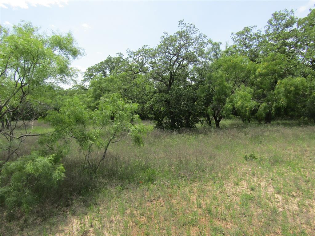 268 County Road 268 Rising Star, TX 76471 - Photo 4 of 15 a view of a lush green forest with lots of trees