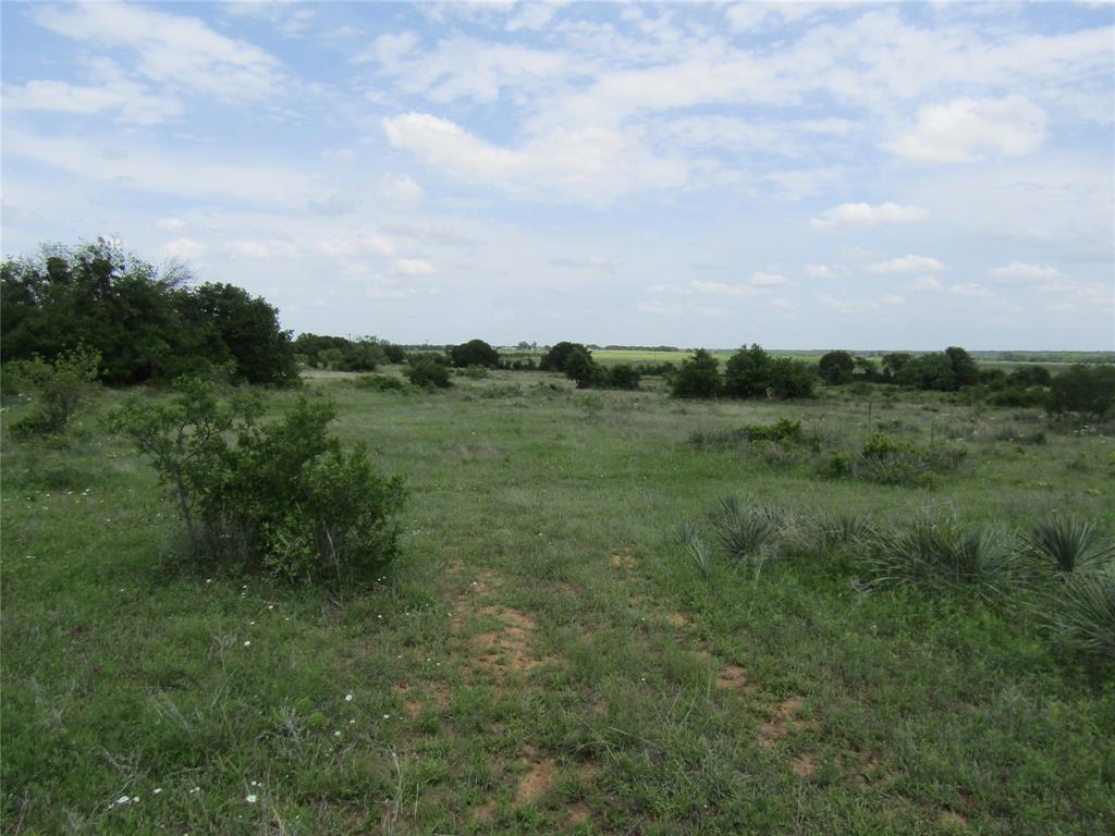 268 County Road 268 Rising Star, TX 76471 - Photo 7 of 15 a view of a lush green space and mountain view in back