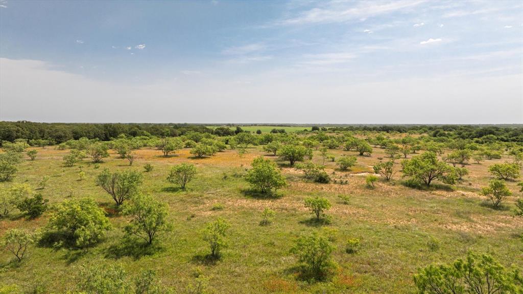 268 County Road 268 Rising Star, TX 76471 - Photo 8 of 15 view of lake and mountain