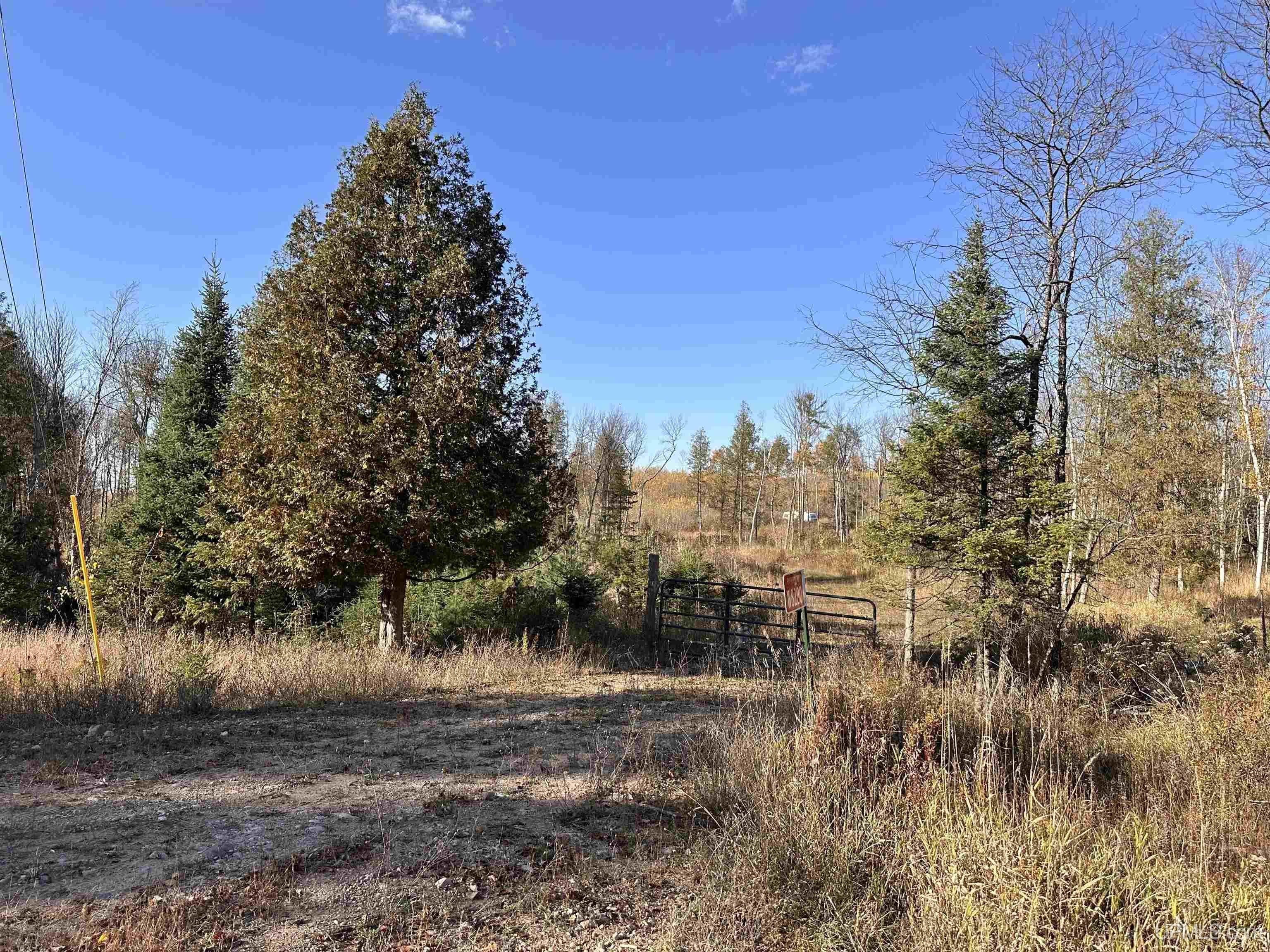 W8220 Co Road Vulcan, MI 49892 - Photo 2 of 14