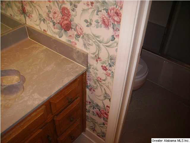 236 Chambers Circle Bessemer, AL 35022 - Photo 14 of 28