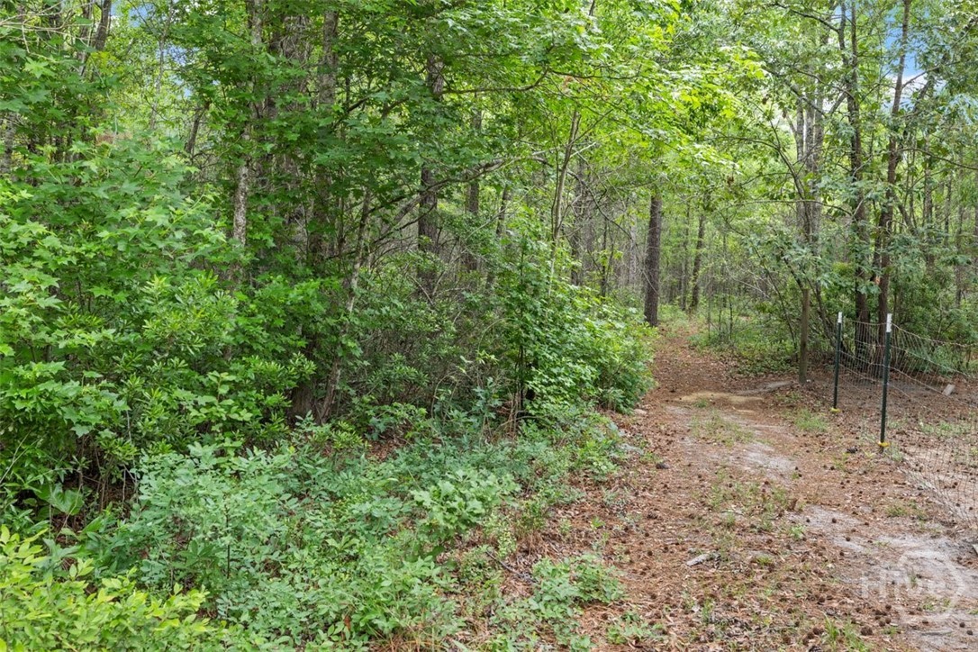373 Chuck Ellis Road Portal, GA 30450 - Photo 53 of 67