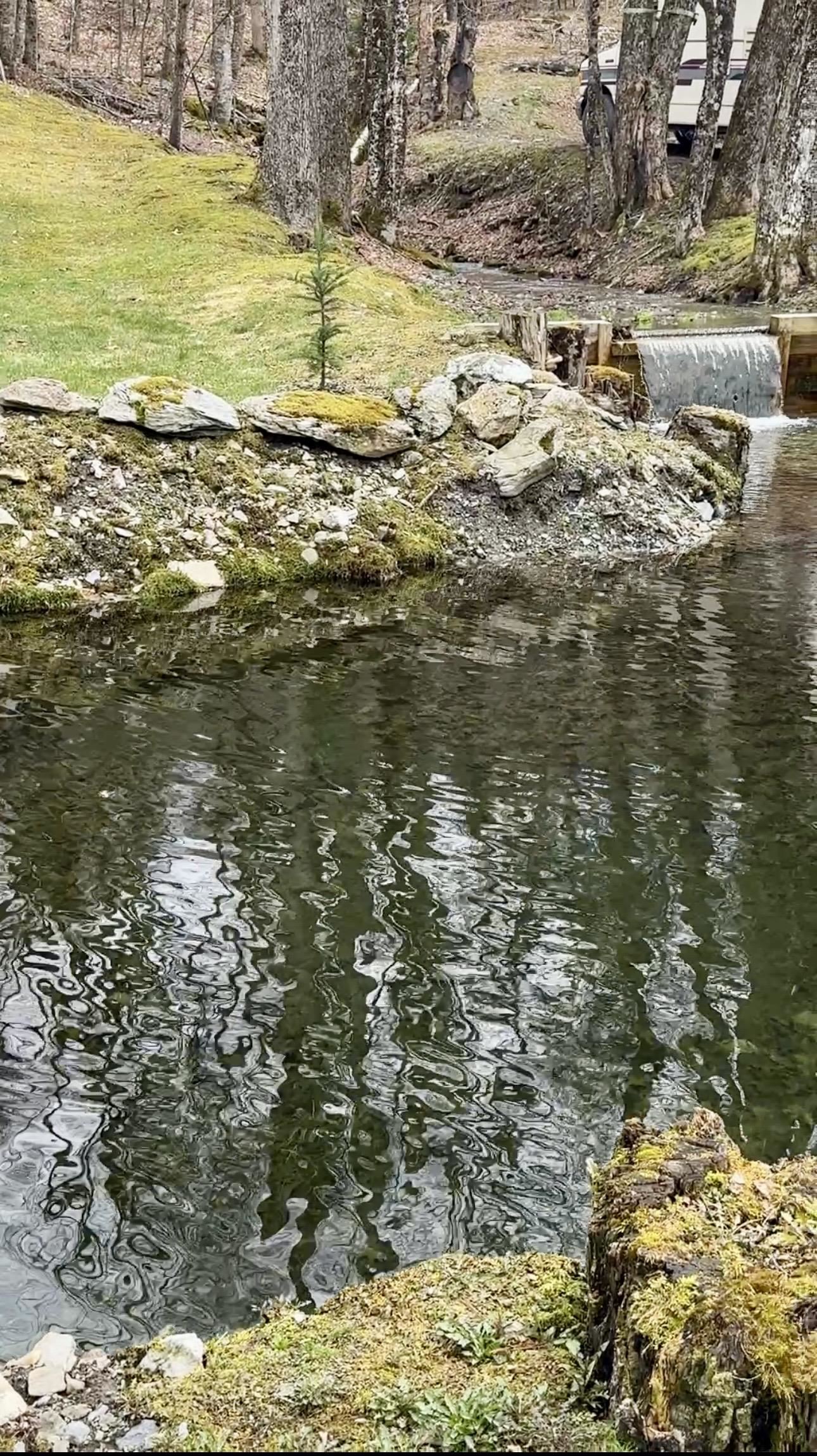 3510 Rupert Road Sandgate, VT 05250 - Photo 8 of 28