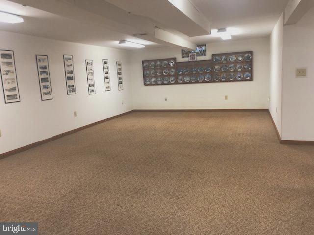 516 Colony Road Camp Hill, PA 17011 - Photo 34 of 50 Basement Great room