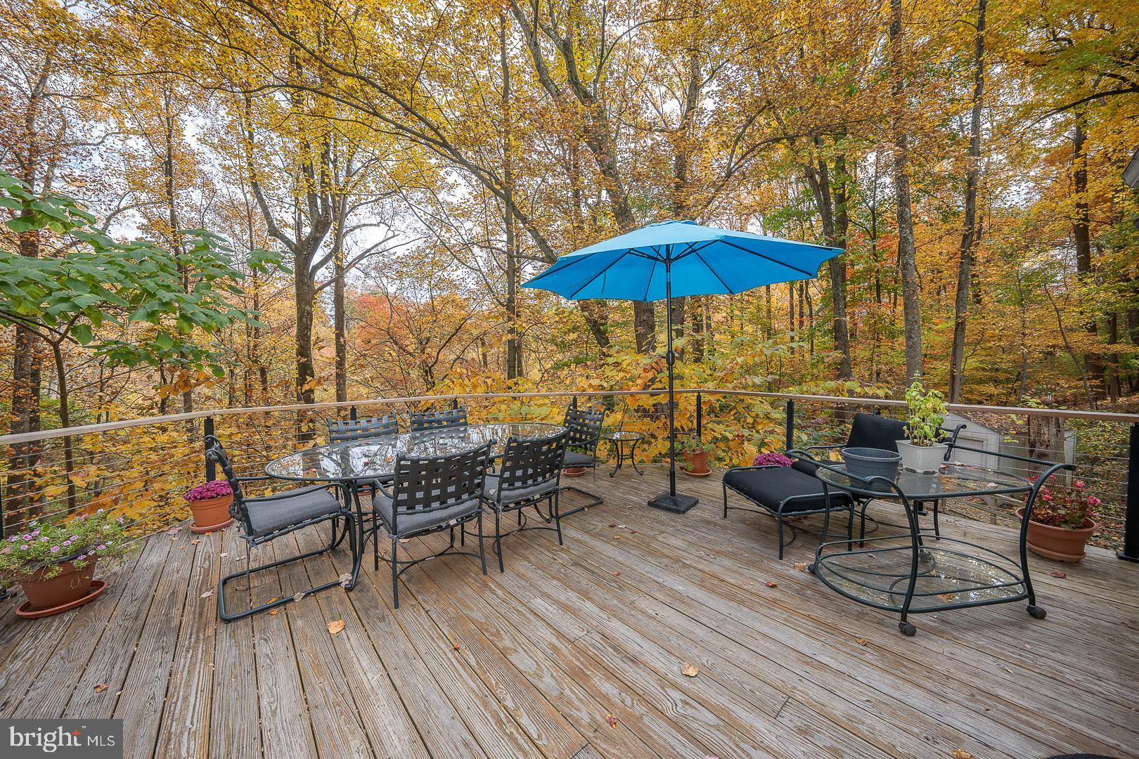 334 Malin Road Newtown Square, PA 19073 - Photo 52 of 82