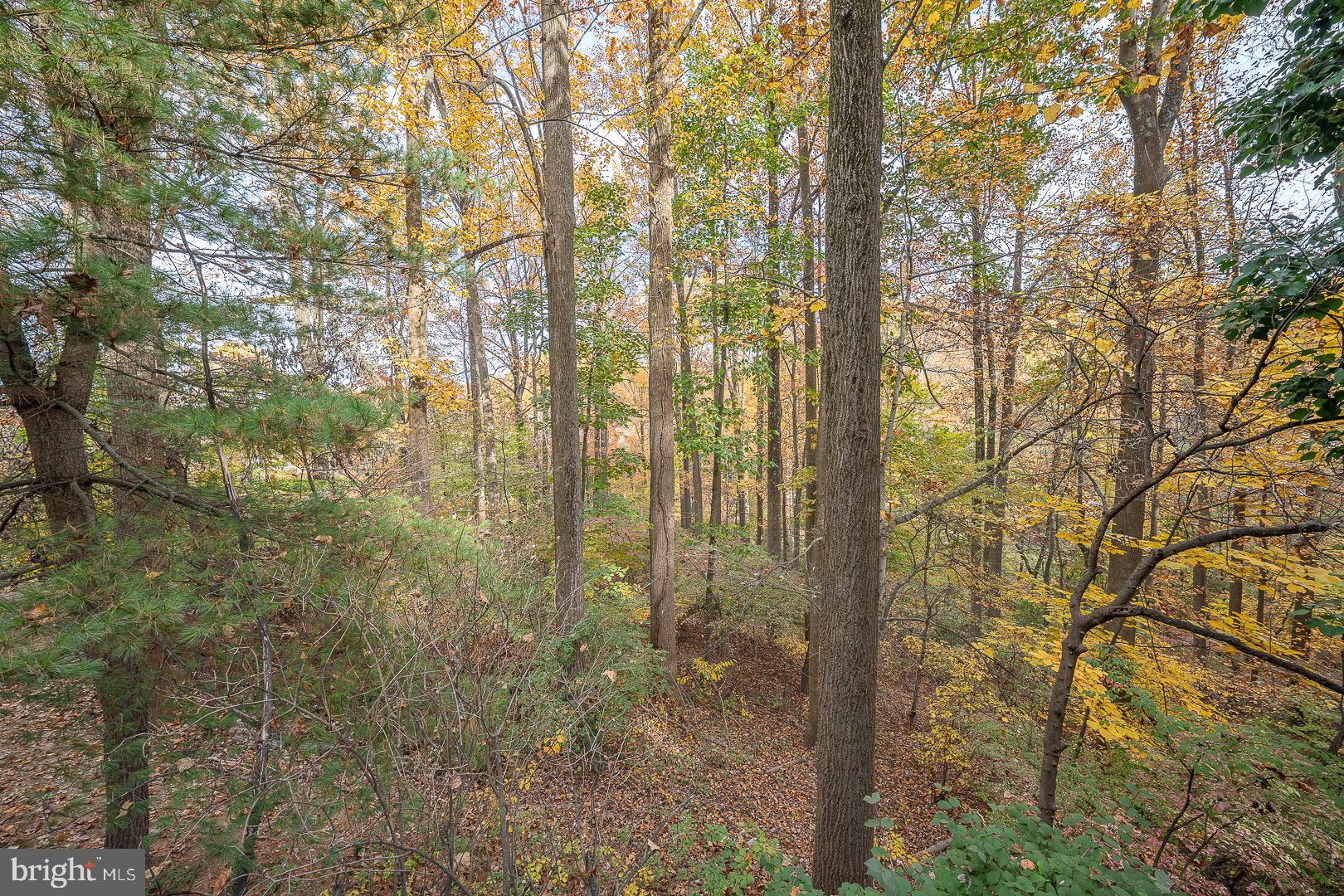 334 Malin Road Newtown Square, PA 19073 - Photo 64 of 82