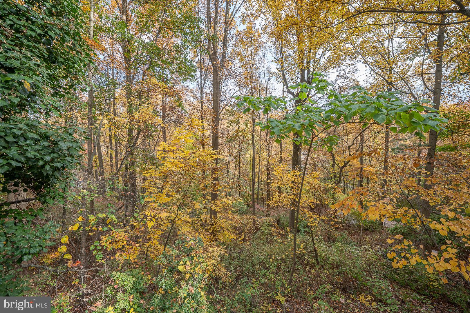 334 Malin Road Newtown Square, PA 19073 - Photo 65 of 82