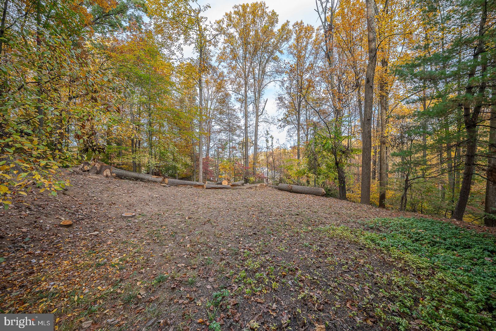 334 Malin Road Newtown Square, PA 19073 - Photo 69 of 82