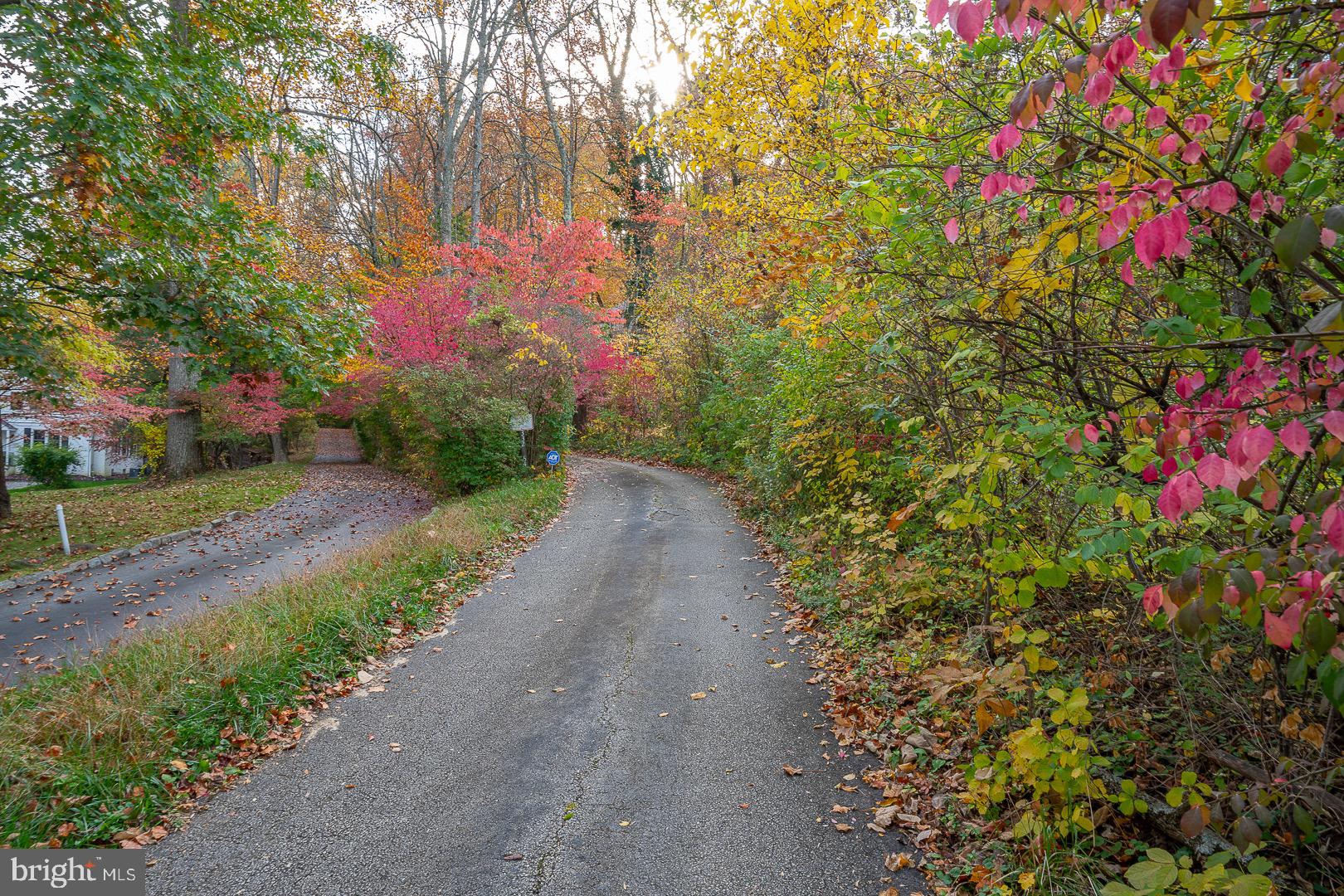 334 Malin Road Newtown Square, PA 19073 - Photo 82 of 82