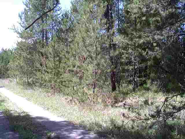 Lot 4 Rumsey Road Newport, WA 99156 - Photo 2 of 4 Gallery Image 2