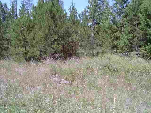 Lot 4 Rumsey Road Newport, WA 99156 - Photo 3 of 4 Gallery Image 3