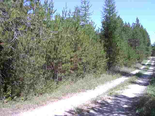 Lot 4 Rumsey Road Newport, WA 99156 - Photo 4 of 4 Gallery Image 4