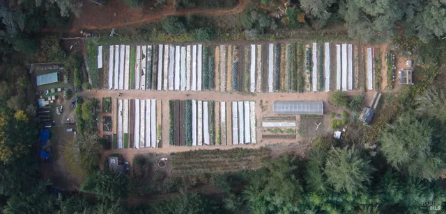 a view of a tennis court