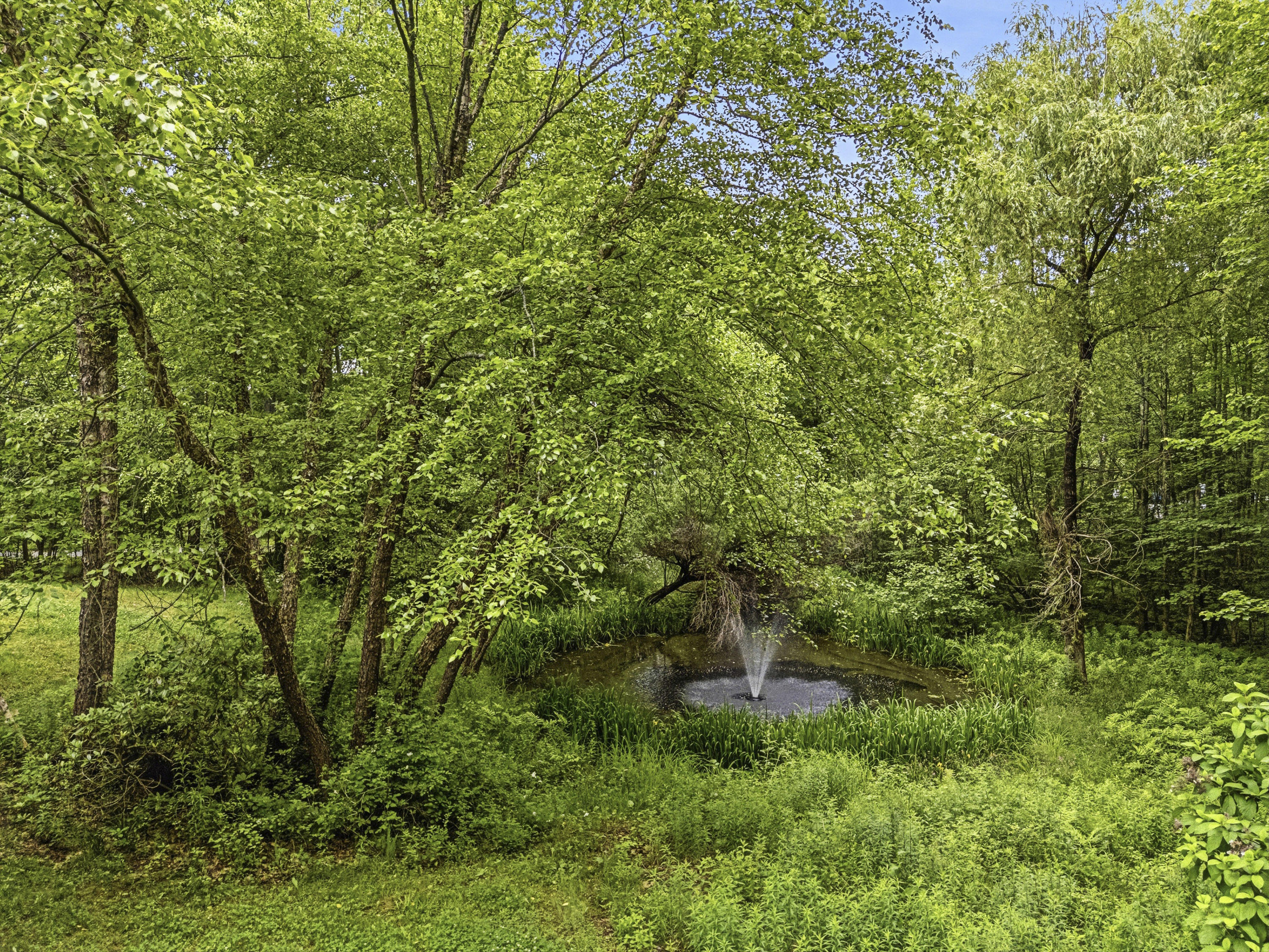 169 Jenkins Road Saco, ME 04072 - Photo 50 of 56