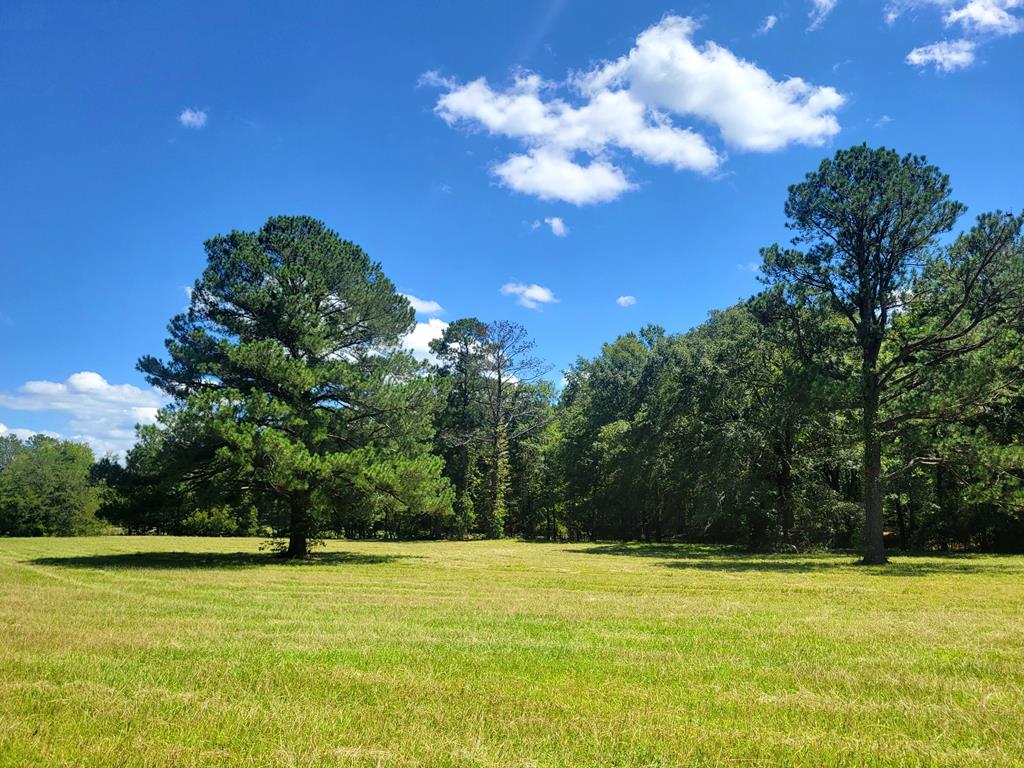 1822 Zion Chapel Road McCormick, SC 29835 - Photo 30 of 52
