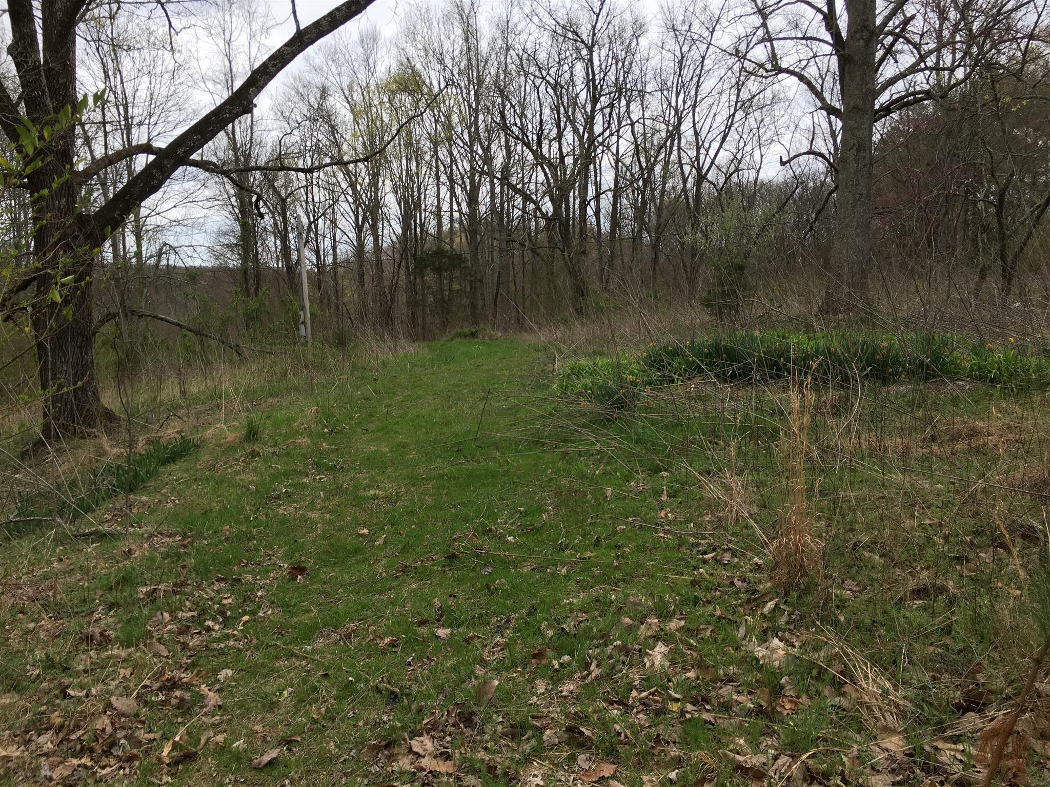 2629 Jernigans Branch Road Beechgrove, TN 37018 - Photo 2 of 3 a view of a lake view