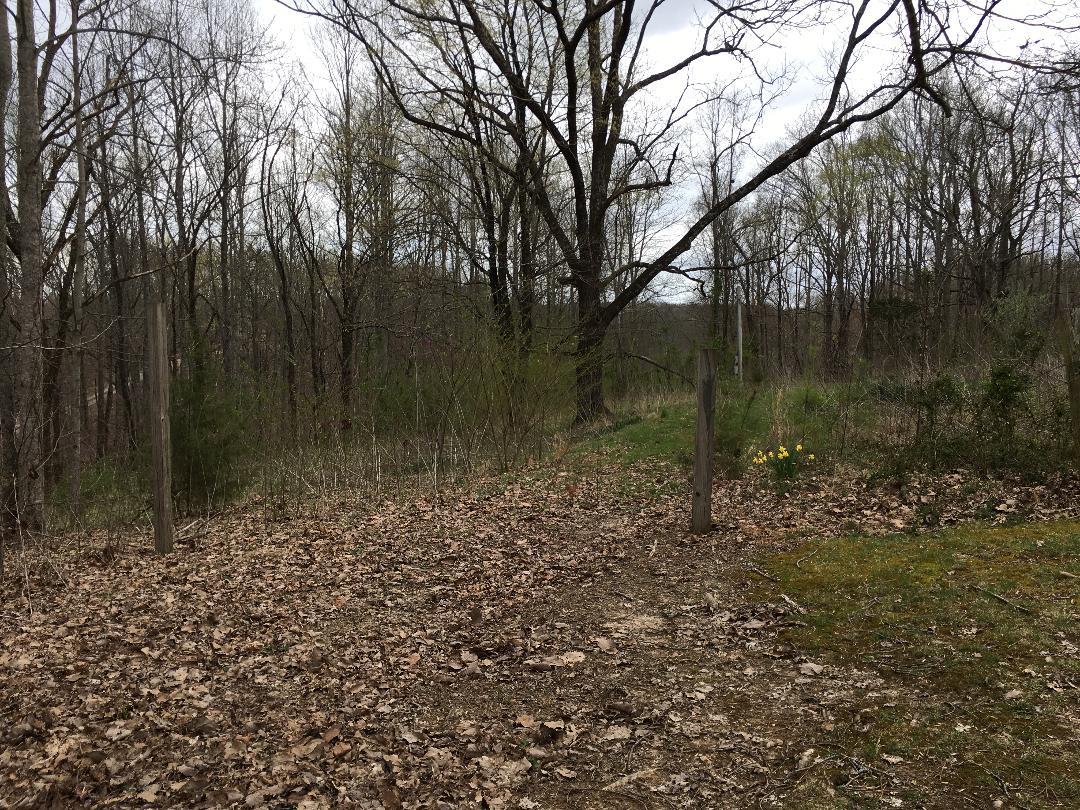 2629 Jernigans Branch Road Beechgrove, TN 37018 - Photo 3 of 3 a view of a garden