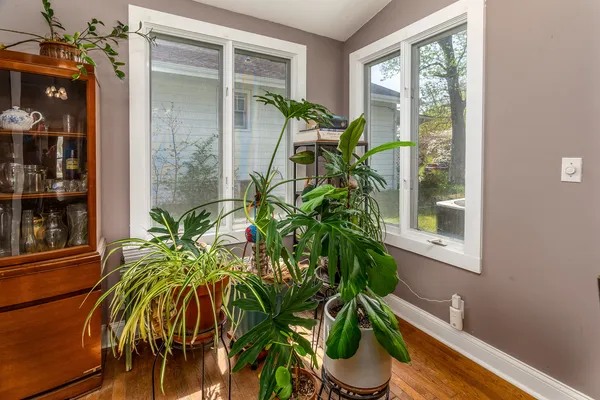 a plant is sitting in front of a window