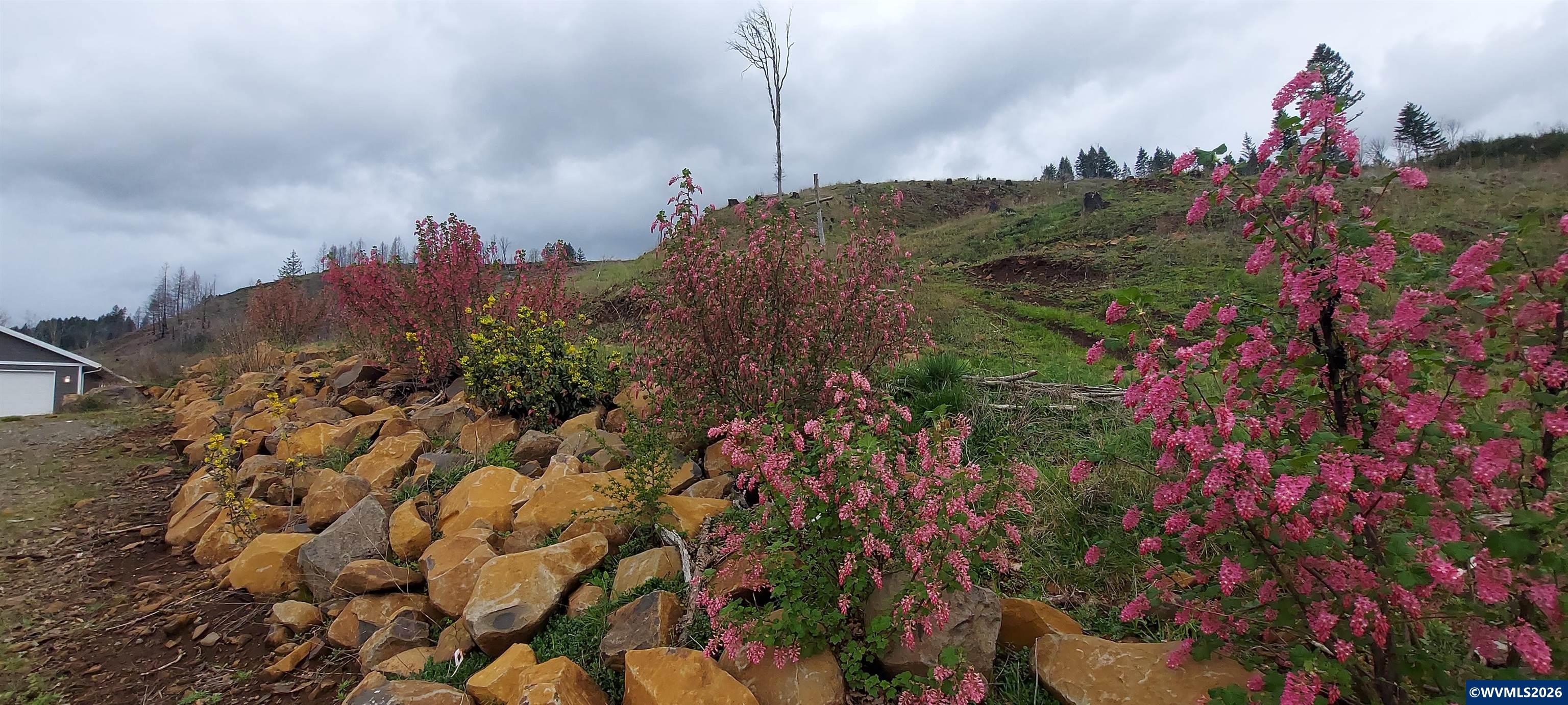 10855 Southeast Kubin Road Lyons, OR 97358 - Photo 13 of 47 Gallery Image 13