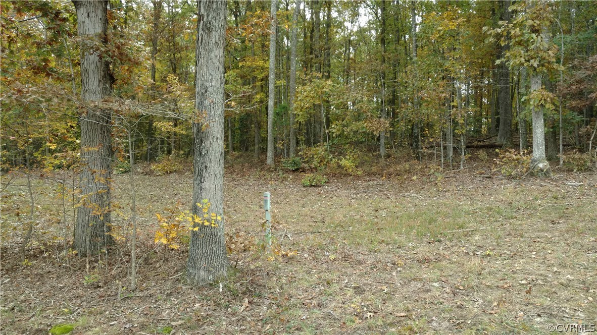 2984 Broadstreet Road Gum Spring, VA 23065 - Photo 1 of 25